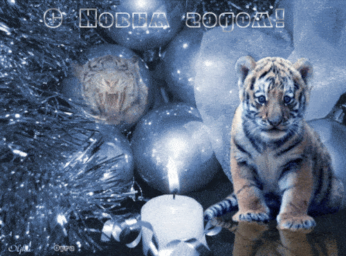 Гифки с Новым Годом 2022 с тигрятами