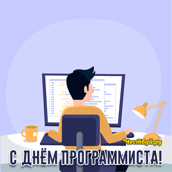 День Программиста 1