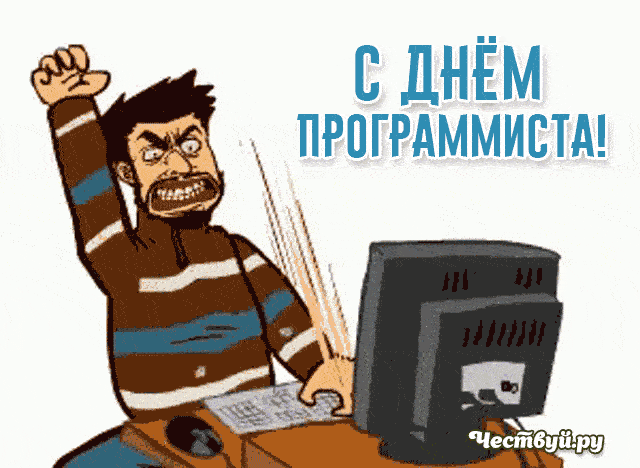 День Программиста 1