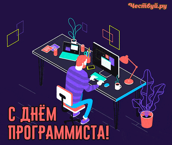 День Программиста 7