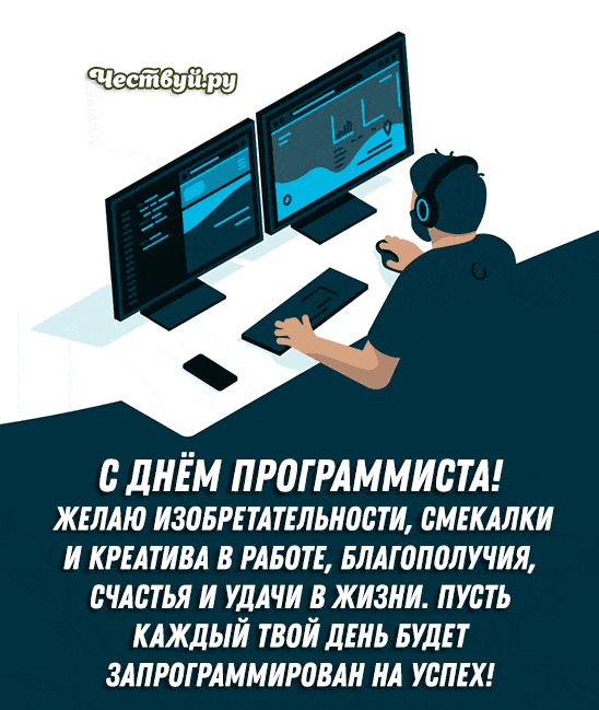 День Программиста 8