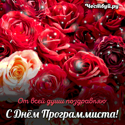 День Программиста 3