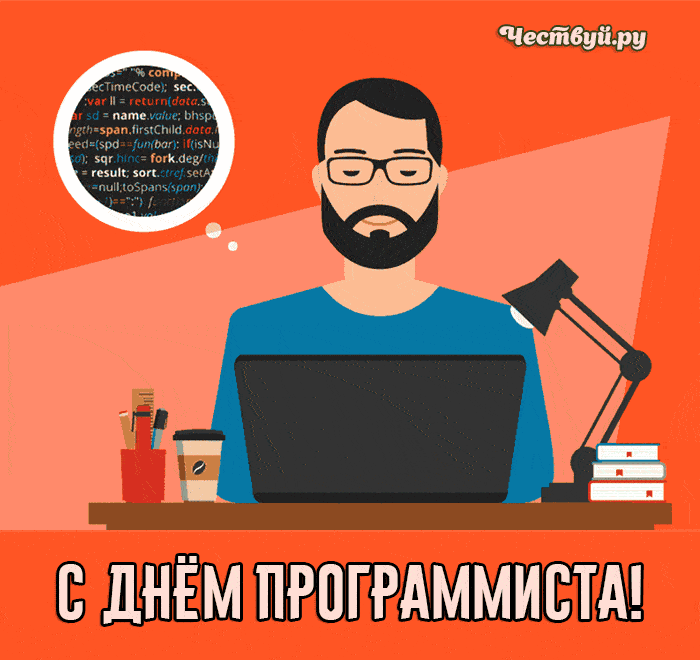 День Программиста 1
