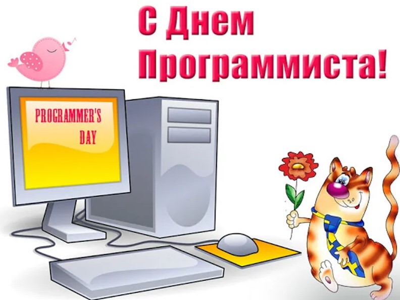 День Программиста 7