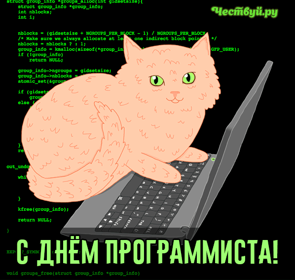 День Программиста 3
