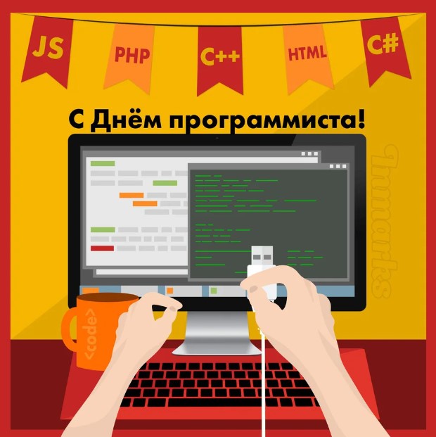 День Программиста 5
