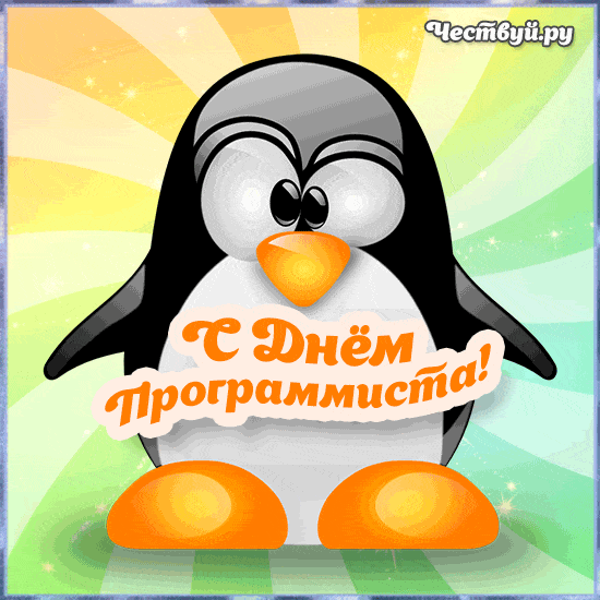День Программиста 3