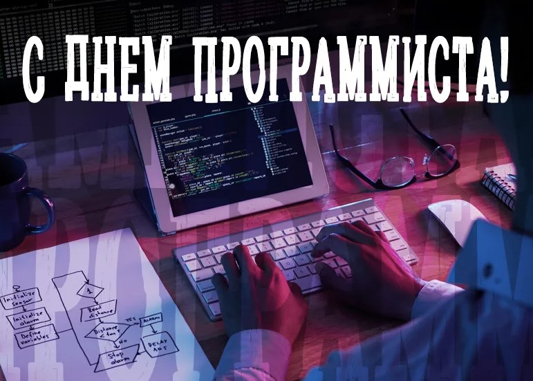 День Программиста 10
